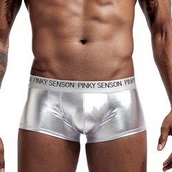 shiny boxershorts