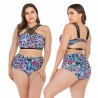 Plus size high waist bikini