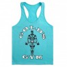 mens fitness muscle shirts