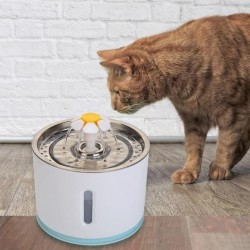 Water fountain for cats