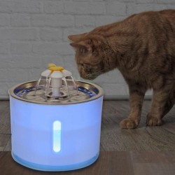 Cats water fountain