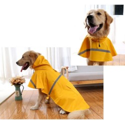 dog jackets