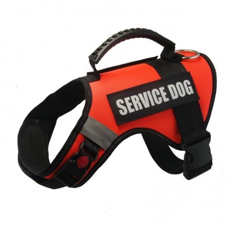 Dog Harness