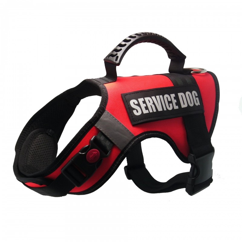 Harnesses for large dogs