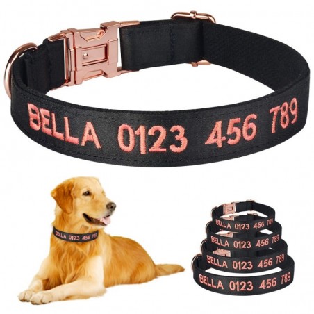 Engraved dog collar