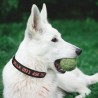 Collar de perro personalizado grabado o bordado collares de cachorro macho hembra