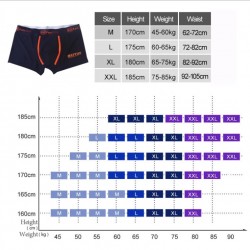 New Silk Boxer Men Underwear Thin Cueca Masculina Ropa Interior Hombre Mens Boxers Homme Man Calzoncillos M-2XL