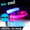 LED Dog Collar USB Rechargeable Night Safety Light-up Flashing Glow Small Pet Cat Collar LED Dog Col