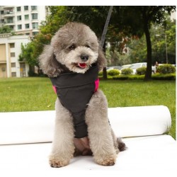 waterproof dog jackets