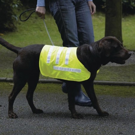 Dogs high visibility jacket