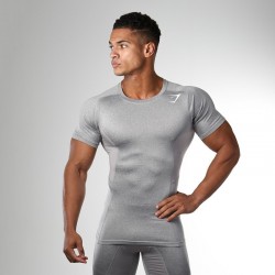 mens bodybuilding and fitness t shirts